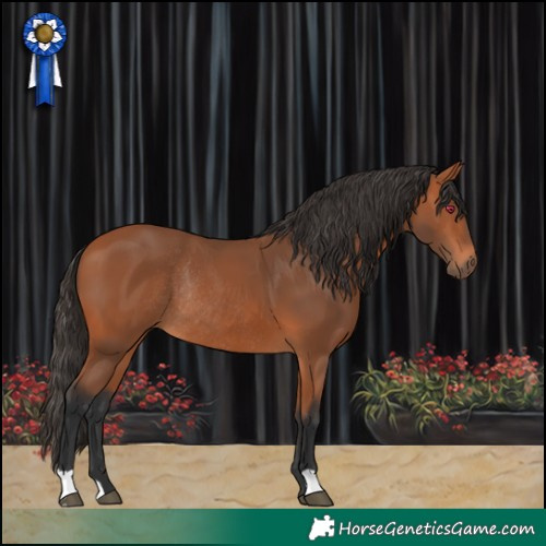 Horse Color:Bay Rabicano 
