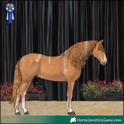Horse Color:Powder White Chestnut Rabicano 