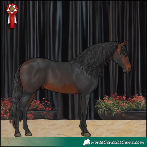 Horse Color:Brown 
