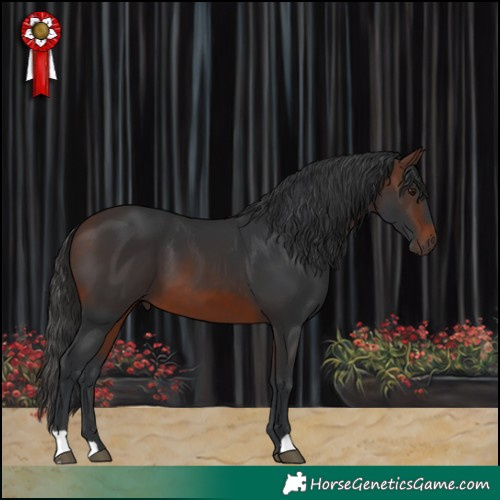 Horse Color:Brown 