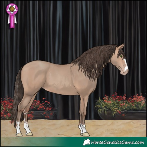 Horse Color:Amber Champagne 