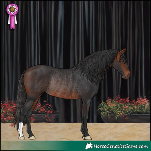 Horse Color:Bay Rabicano 