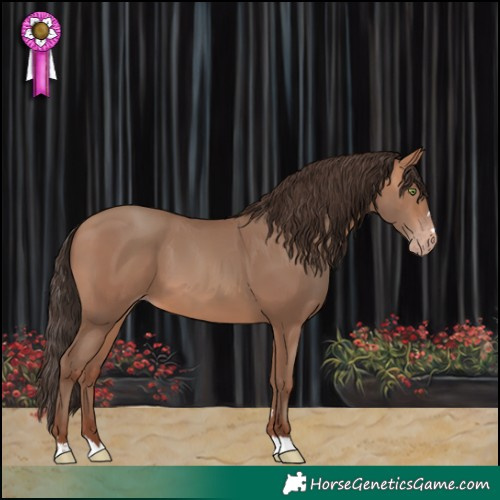 Horse Color:Sable Champagne 