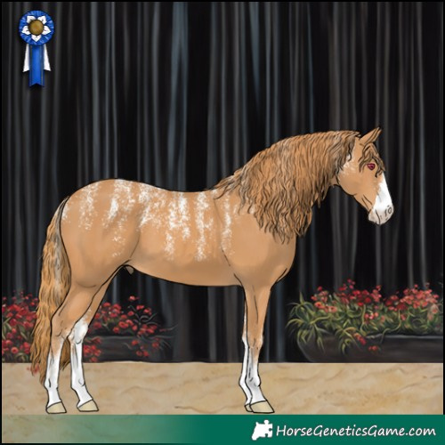 Horse Color:Powder White Chestnut 