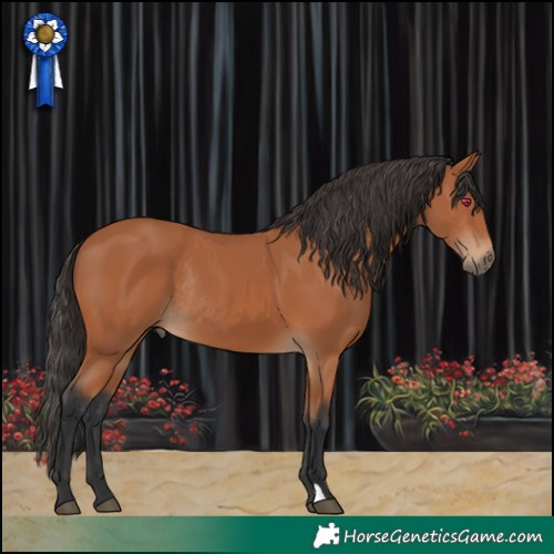 Horse Color:Bay Rabicano 