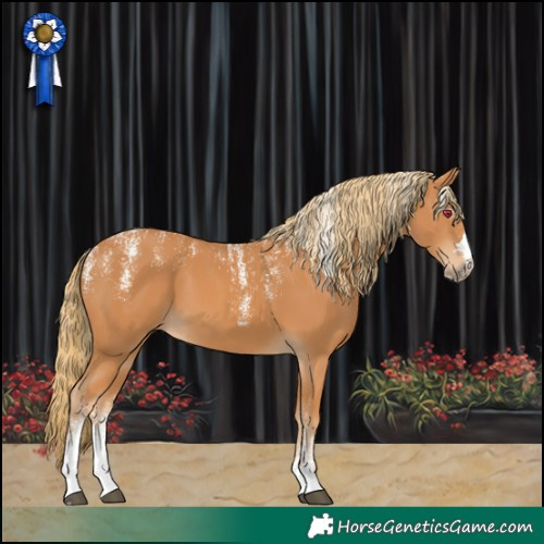 Horse Color:Powder White Chestnut 