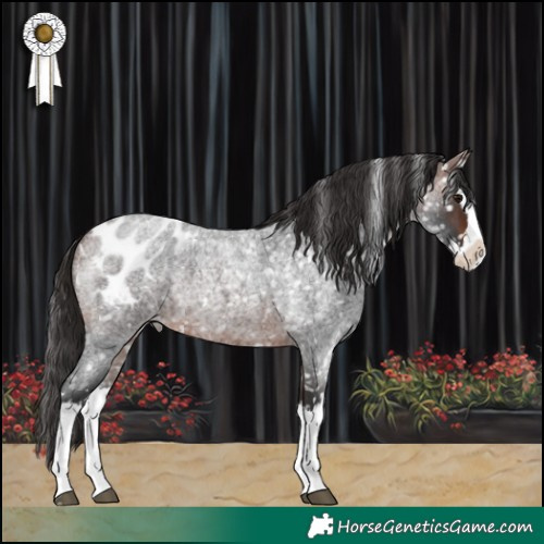 Horse Color:Brown Roan Splash Blanket 
