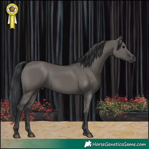 Horse Color:Grullo 