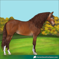 Horse Color:Gray Chocolate Buckskin