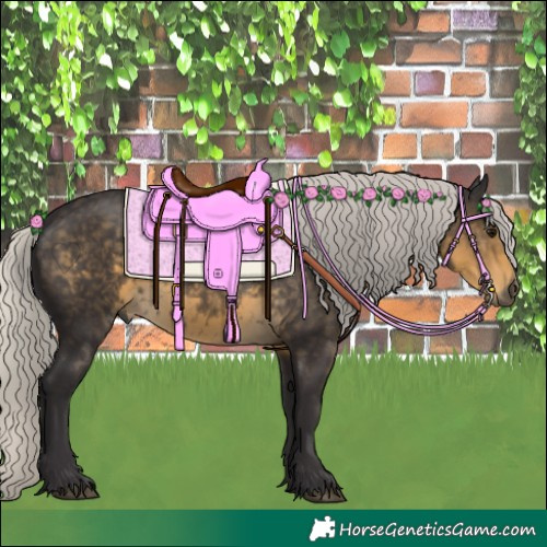 Horse Color:Silver Smoky Black 