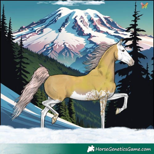 Horse Color:Watercolor Chestnut Splash