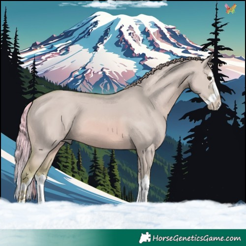 Horse Color:Watercolor Red Dun Splash 
