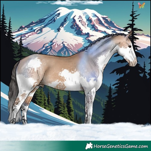 Horse Color:Bay Dun Splash 