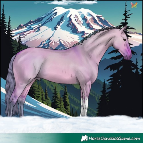 Horse Color:Watercolor Bay Dun Tobiano