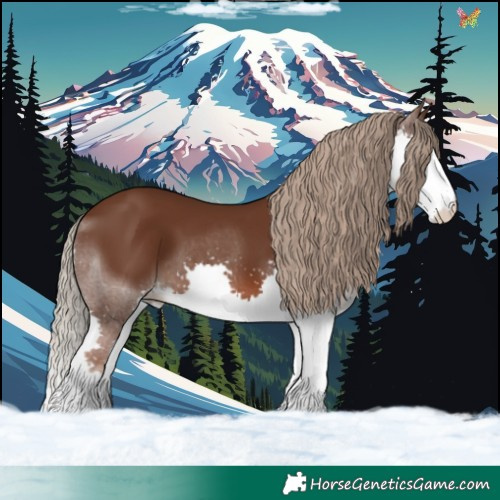 Horse Color:Liver Chestnut Splash 