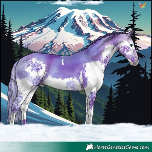 Horse Color:Watercolor Bay Splash Tobiano 