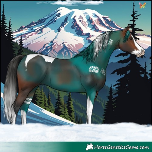 Horse Color:Brown Splash Tobiano