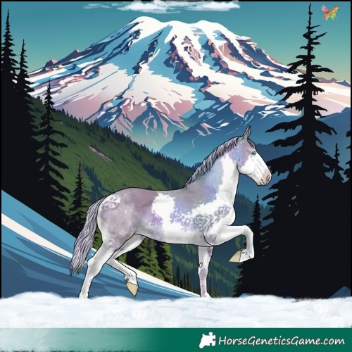 Horse Color:Watercolor Chestnut Splash 