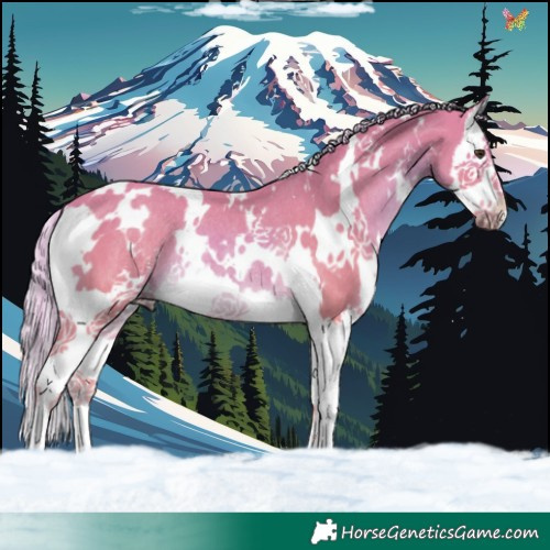 Horse Color:Watercolor White Spotted Palomino Splash Rabicano 