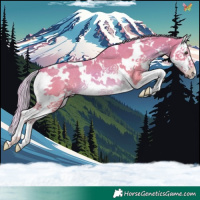 Horse Color:Watercolor White Spotted Palomino Splash Rabicano 