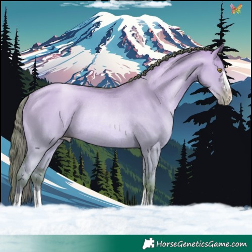Horse Color:Watercolor Liver Red Dun Pearl Rabicano 