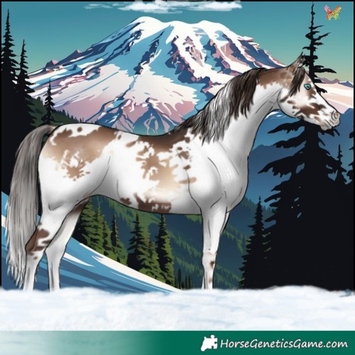 Horse Color:White Spotted Liver Red Onyx Splash 