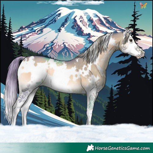 Horse Color:Watercolor White Spotted Liver Red Dun Onyx Splash 