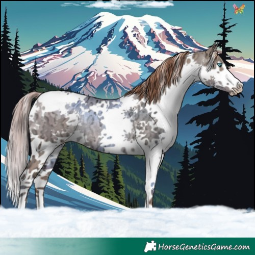 Horse Color:White Spotted Liver Red Dun Ice Splash Rabicano 