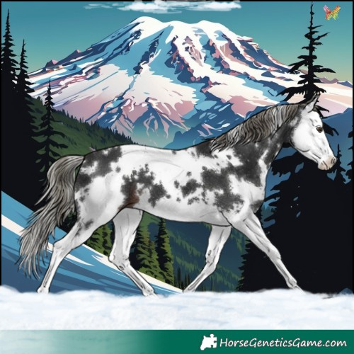 Horse Color:White Spotted Liver Chestnut Mushroom Splash 