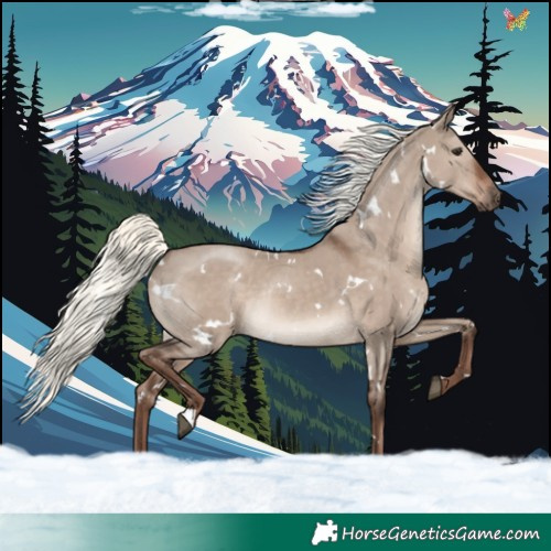 Horse Color:White Spotted Liver Red Dun Mushroom Rabicano 