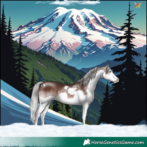 Horse Color:White Spotted Silver Brown Mushroom Splash 