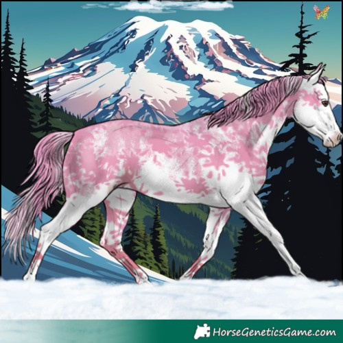 Horse Color:Watercolor White Spotted Liver Chestnut Splash 