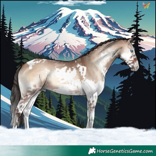 Horse Color:Brown Onyx Sabino Splash Tobiano