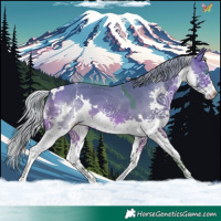 Horse Color:Watercolor White Spotted Silver Brown Dun Splash