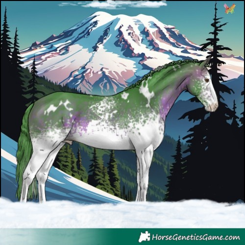 Horse Color:Watercolor White Spotted Brown