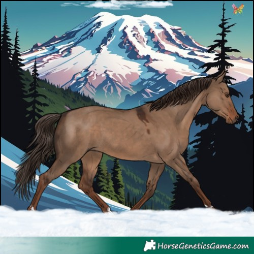 Horse Color:Liver Red Dun