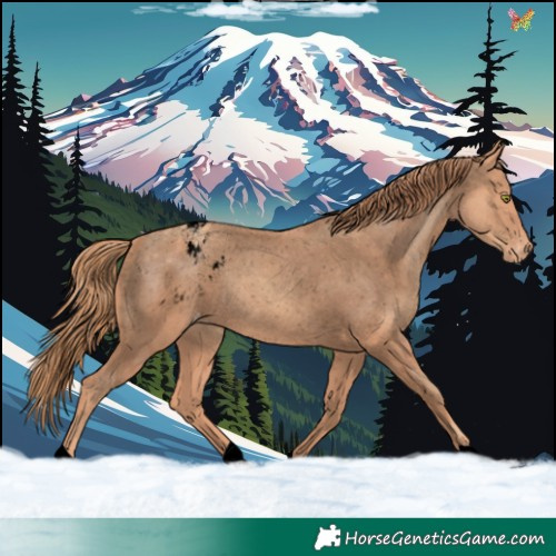 Horse Color:Void Gold Champagne Varnish 