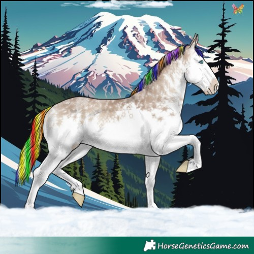 Horse Color:Painted White Spotted Silver Grullo Onyx Sabino Splash 