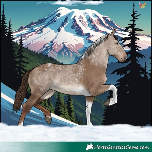 Horse Color:Liver Red Dun Tobiano