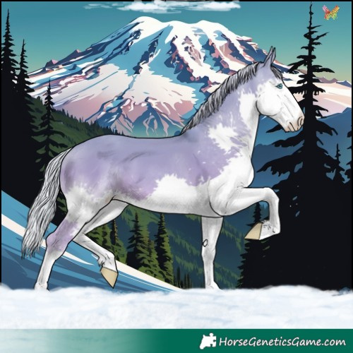 Horse Color:Watercolor Silver Sable Champagne Dun Splash 