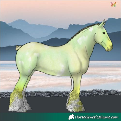 Horse Color:Watercolor White Spotted Liver Red Dun Roan 
