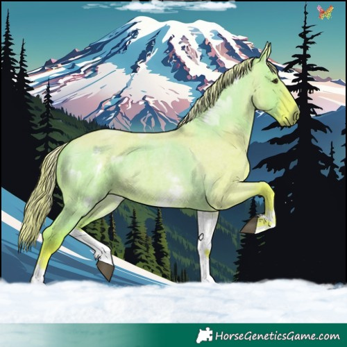 Horse Color:Watercolor White Spotted Liver Red Dun Roan 