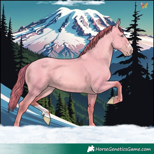 Horse Color:Watercolor Gold Champagne Dun Sabino 
