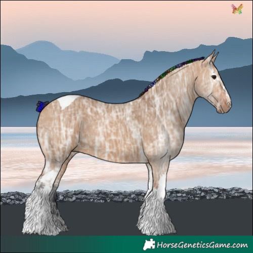 Horse Color:Painted Bay Ice Dun Tobiano 
