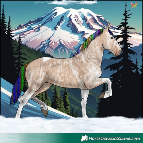 Horse Color:Painted Bay Ice Dun Tobiano 