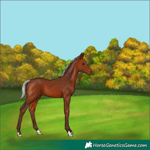 Horse Color:Silver Brown