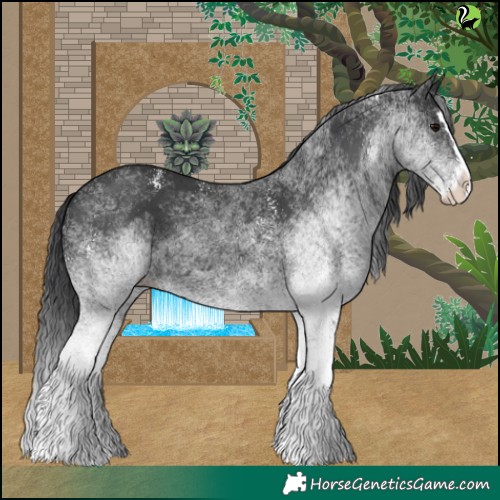Horse Color:White Spotted Black Splash 
