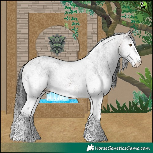 Horse Color:White Spotted Brown 