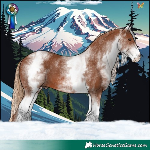 Horse Color:White Spotted Chestnut 
