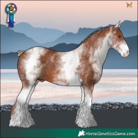 Horse Color:White Spotted Chestnut 